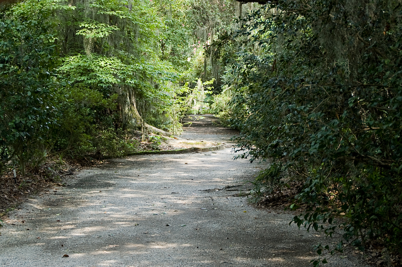 long paths